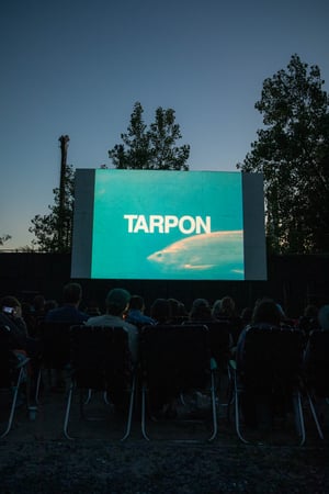 Arverne_Cinema_Tarpon_20240609-31