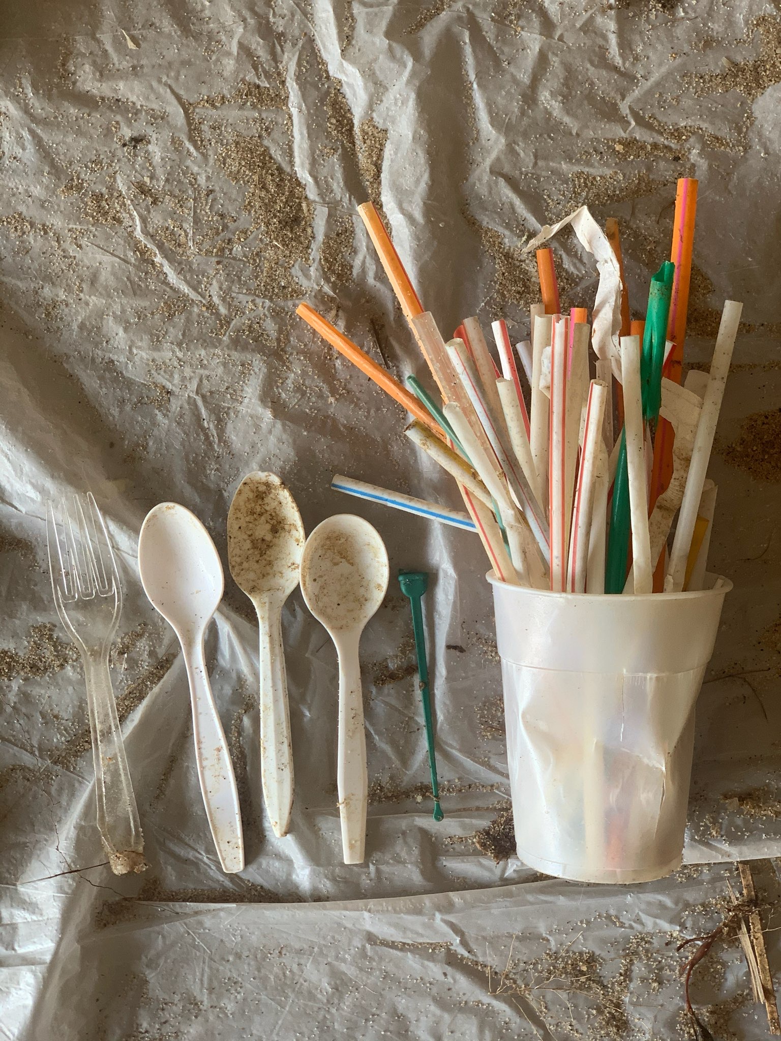 Reduce Plastic Pollution in Southampton Town, NY