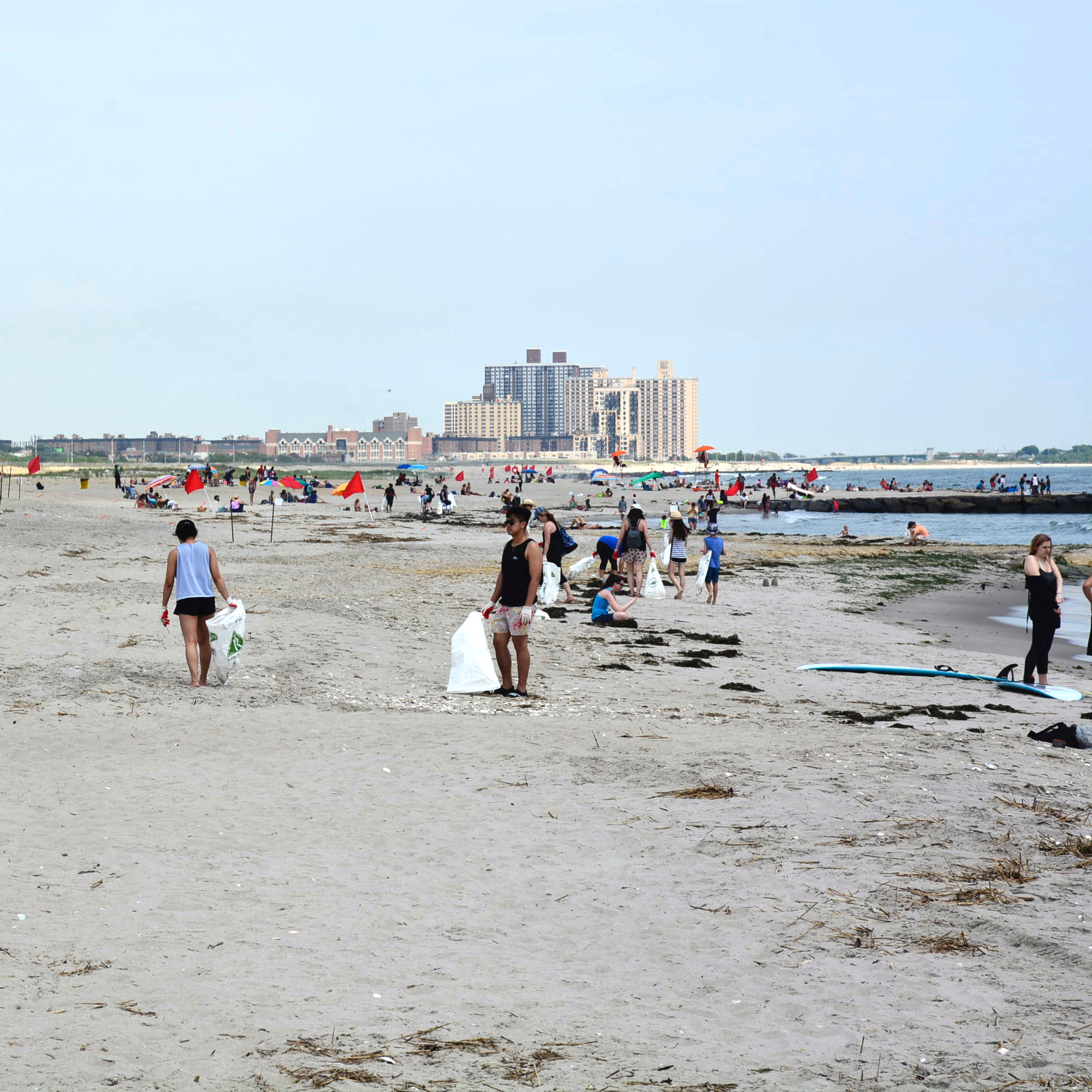 June 2018 Beach Cleanup